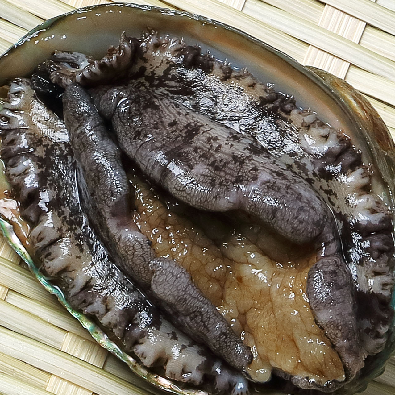 Abalone