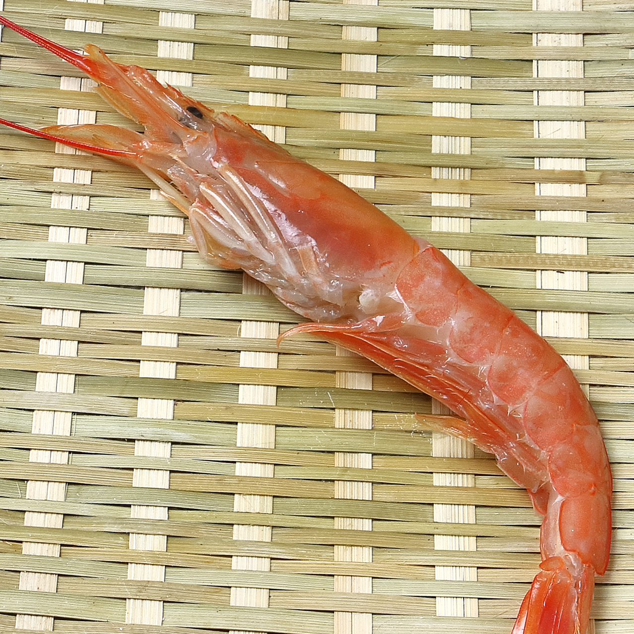 Shrimp