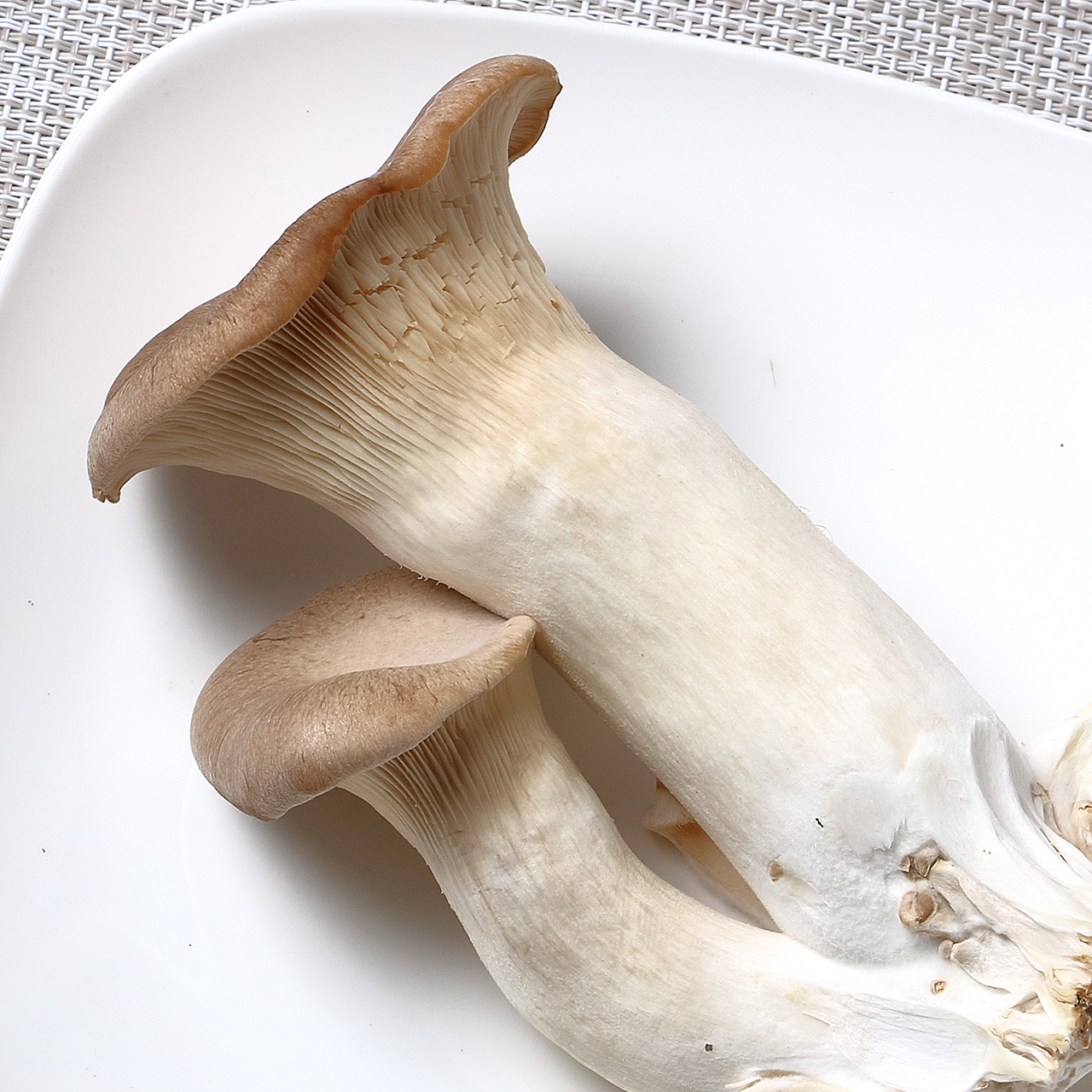 Cut King trumpet mushroom