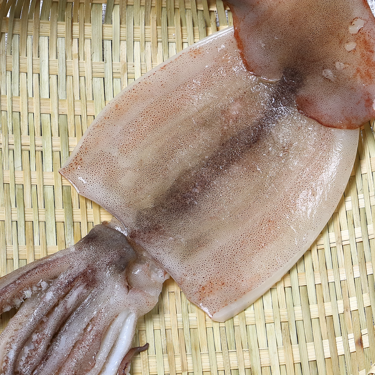 Soft Dried Squid